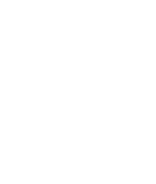 logo connectlab